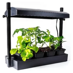SunBlaster 1600218 T5HO Indoor Canopy Micro Grow Light Garden System With 1, 12-Inch 11-Watt 6400K Strip Light & 1 NanoTech T5 Reflector, Black 5 SunBlaster 1600218 T5HO Indoor Canopy Micro Grow Light Garden System With 1, 12-Inch 11-Watt 6400K Strip Light & 1 NanoTech T5 Reflector, Black -D'Eco Store GUEST 02dc1883 af79 4b04 bbf7 467ddc3ca9fc