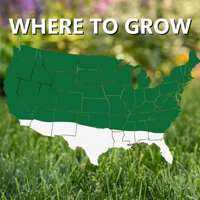 Jonathan Green Pasture Grass Mixture, 50lb (Covers Up To 43,560 Square Feet) 1 Jonathan Green Pasture Grass Mixture, 50lb (Covers Up To 43,560 Square Feet)