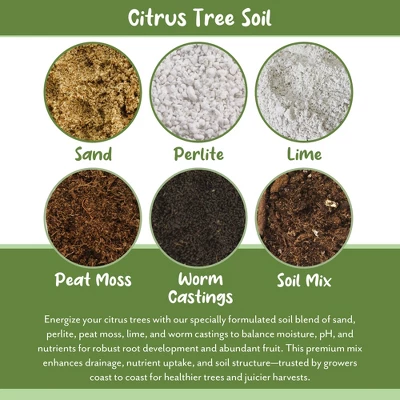 Soil Sunrise Citrus Tree Potting Soil Mix, For Indoor Oranges, Lemons, Limes And More 5 Soil Sunrise Citrus Tree Potting Soil Mix, For Indoor Oranges, Lemons, Limes And More - Image 5