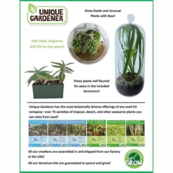 Unique Gardener: Culinary Herb Kit - Grow 5 Herbs In A DIY Biosphere Terrarium 11 Unique Gardener: Culinary Herb Kit - Grow 5 Herbs In A DIY Biosphere Terrarium -D'Eco Store GUEST 0bd8245e d299 4eb1 bf25 279240550ecf
