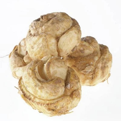 Van Zyverden 3ct Bulbs Fritillaria Persica 1 Van Zyverden 3ct Bulbs Fritillaria Persica