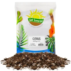 Soil Sunrise Citrus Tree Potting Soil Mix, For Indoor Oranges, Lemons, Limes And More 19 Soil Sunrise Citrus Tree Potting Soil Mix, For Indoor Oranges, Lemons, Limes And More -D'Eco Store GUEST 0d16f02e c035 4719 9b30 63937cc3ecb6