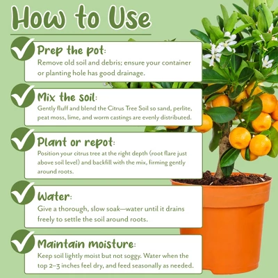 Soil Sunrise Citrus Tree Potting Soil Mix, For Indoor Oranges, Lemons, Limes And More 6 Soil Sunrise Citrus Tree Potting Soil Mix, For Indoor Oranges, Lemons, Limes And More - Image 6