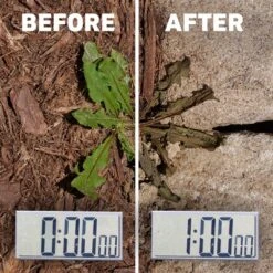 Spruce Ez Aim Weed And Grass Killer 10oz -D'Eco Store GUEST 0f1d752d 63de 47d0 9320 afa6f602983b