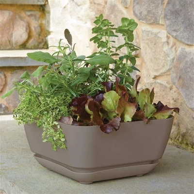 Novelty Majestic Garden Plastic Indoor/Outdoor Square Planter Pot, Taupe, 12in 5 Novelty Majestic Garden Plastic Indoor/Outdoor Square Planter Pot, Taupe, 12in - Image 5