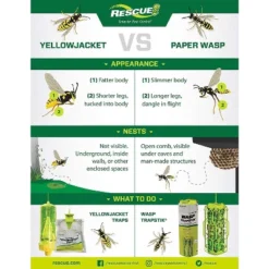 RESCUE! Yellowjacket Attractant � 4 Week Supply - 2 Pack 10 RESCUE! Yellowjacket Attractant � 4 Week Supply - 2 Pack -D'Eco Store GUEST 168d6996 1a72 46e8 86a5 a5cdb14a4889
