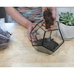 Soil Sunrise 8qt Succulent Potting Soil Mix, Custom Blend 10 Soil Sunrise 8qt Succulent Potting Soil Mix, Custom Blend -D'Eco Store GUEST 1690f53f 6680 4539 ba17 1b19c0cd743e