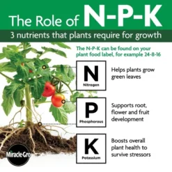 Miracle-Gro Organics Plant Food Granules Fertilizer 3lbs 22 Miracle-Gro Organics Plant Food Granules Fertilizer 3lbs -D'Eco Store GUEST 18f3d995 61ee 4567 97c3 b006abff9f03