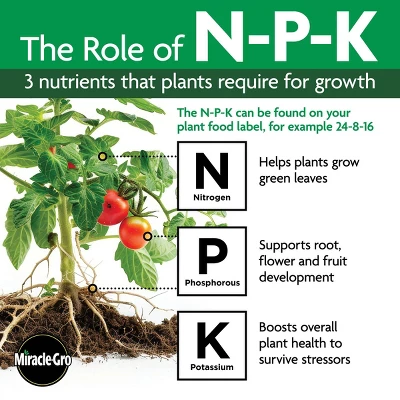 Miracle-Gro Organics Plant Food Granules Fertilizer 3lbs 11 Miracle-Gro Organics Plant Food Granules Fertilizer 3lbs - Image 11