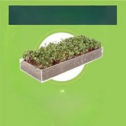 D'Eco Store 39 Window Garden Microgreens Grow Kit - Hydroponic Growing Kit