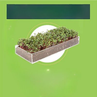 Window Garden Microgreens Grow Kit - Hydroponic Growing Kit 1 Window Garden Microgreens Grow Kit - Hydroponic Growing Kit