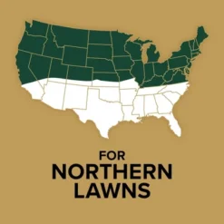 Scotts EZ Seed Sun & Shade 10lb: Patch & Repair, Tackifier, Quick Germination -D'Eco Store GUEST 1aa482b0 c9d8 4cd5 ad42 6173df35fcb5