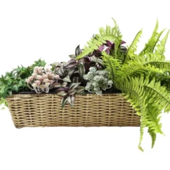 Sunnydaze Decor Sunnydaze Hanging Rectangle Polyrattan Rail Planter With Plastic Liner - 23.5" W X 7.5" D X 6.5" H 14 Sunnydaze Decor Sunnydaze Hanging Rectangle Polyrattan Rail Planter With Plastic Liner - 23.5" W X 7.5" D X 6.5" H -D'Eco Store GUEST 1ad88708 b0ad 451a aa5e a9fe287e962b
