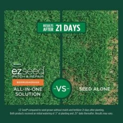 Scotts EZ Seed Bermudagrass 3.75lb Jug: Quick Germination, Sun/Shade Mix, Lawn Revitalization 15 Scotts EZ Seed Bermudagrass 3.75lb Jug: Quick Germination, Sun/Shade Mix, Lawn Revitalization -D'Eco Store GUEST 1f3f7621 520d 46c2 bd78 f537ee1a29ce