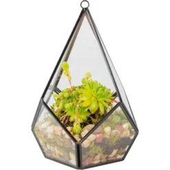 D'Eco Glass Geometric Plant Terrarium (5.7x5.7x7) - Indoor Tabletop & Hanging Teardrop Planter Holiday Decor - Christmas Gift For Plant Lovers 5 D'Eco Glass Geometric Plant Terrarium (5.7x5.7x7) - Indoor Tabletop & Hanging Teardrop Planter Holiday Decor - Christmas Gift For Plant Lovers -D'Eco Store GUEST 21db12de 075f 4b20 aef5 13ce5500076b