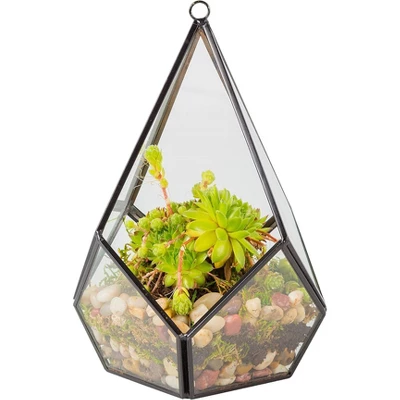 D'Eco Glass Geometric Plant Terrarium (5.7x5.7x7) - Indoor Tabletop & Hanging Teardrop Planter Holiday Decor - Christmas Gift For Plant Lovers 3 D'Eco Glass Geometric Plant Terrarium (5.7x5.7x7) - Indoor Tabletop & Hanging Teardrop Planter Holiday Decor - Christmas Gift For Plant Lovers - Image 3