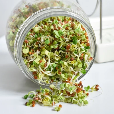 Tribest GEO Sprouting Jar System With Stainless Steel Rack And Ceramic Base Plate – Clear 5 Tribest GEO Sprouting Jar System With Stainless Steel Rack And Ceramic Base Plate – Clear - Image 5