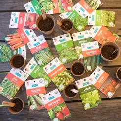 Back To The Roots 20pk Organic USA Herbs And Vegetable Seeds 11 Back To The Roots 20pk Organic USA Herbs And Vegetable Seeds -D'Eco Store GUEST 25174905 b564 4663 a98c 918794c8af71