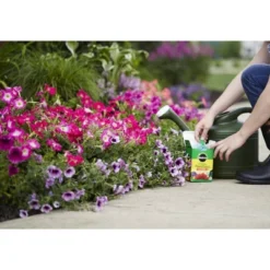 Miracle-Gro Water Soluble All Purpose Plant Food 1.5lb: Nutrient-Rich Formula For Healthy Growth, Fast Release