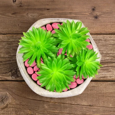 Garden Stones-500 Count Glow In The Dark Solar Pathway Pebble Lights-Decorative Glowing Rocks By Nature Spring (Yellow) 4 Garden Stones-500 Count Glow In The Dark Solar Pathway Pebble Lights-Decorative Glowing Rocks By Nature Spring (Yellow) - Image 4