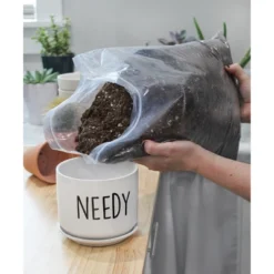 Soil Sunrise 8qt Succulent Potting Soil Mix, Custom Blend 11 Soil Sunrise 8qt Succulent Potting Soil Mix, Custom Blend -D'Eco Store GUEST 2df52dbe f1c2 4f0f 8736 7dab8c0f3157