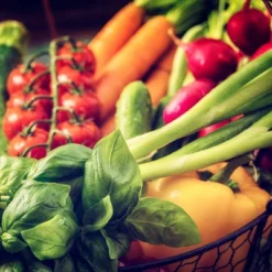 Back To The Roots 20pk Organic USA Herbs And Vegetable Seeds 10 Back To The Roots 20pk Organic USA Herbs And Vegetable Seeds -D'Eco Store GUEST 32a4f4b8 1a47 4ba6 be5a 5d7632f360ad