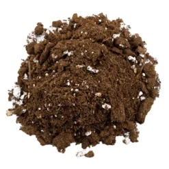 Soil Sunrise 8qt Succulent Potting Soil Mix, Custom Blend 13 Soil Sunrise 8qt Succulent Potting Soil Mix, Custom Blend -D'Eco Store GUEST 3474ac13 c806 46af a2c5 22f99b0c4d64