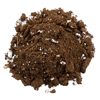 Soil Sunrise 8qt Succulent Potting Soil Mix, Custom Blend 6 Soil Sunrise 8qt Succulent Potting Soil Mix, Custom Blend - Image 6