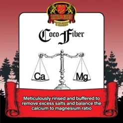 D'Eco Store -D'Eco Store GUEST 35645dba 477f 4283 9347 f25367b04dbe