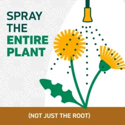 Spruce Weed And Grass Killer Refill 64oz 21 Spruce Weed And Grass Killer Refill 64oz -D'Eco Store GUEST 36e0e393 5404 4884 a9d6 510aa3f78717