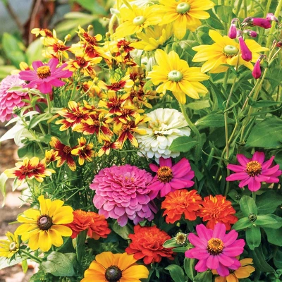 Collections Etc Roll Out Flower Seeded Mats That Attract Butterflies - Set Of 2 4 Collections Etc Roll Out Flower Seeded Mats That Attract Butterflies - Set Of 2 - Image 4