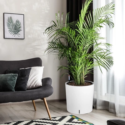 Round Planter Set Of 2, Self Watering Pots For Indoor Plants, Large Flower Pot Outdoor With Built-in Drainage And A Water Level Monitor 2 Round Planter Set Of 2, Self Watering Pots For Indoor Plants, Large Flower Pot Outdoor With Built-in Drainage And A Water Level Monitor - Image 2