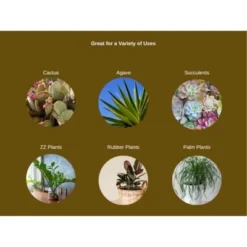 Fertilome Cactus Potting Mix Floral Cacti/Succulent Soil, 4qt