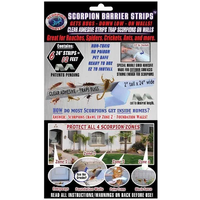 Scorpion Master Glue Board 1 Scorpion Master Glue Board