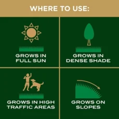 Scotts EZ Seed Sun & Shade 10lb: Patch & Repair, Tackifier, Quick Germination -D'Eco Store GUEST 3c6c0979 b447 4d1d a80b 9cb88a7cfc3f