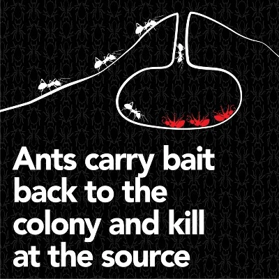 Raid Max Liquid Ant Baits Insecticides - 8ct 4 Raid Max Liquid Ant Baits Insecticides - 8ct - Image 4