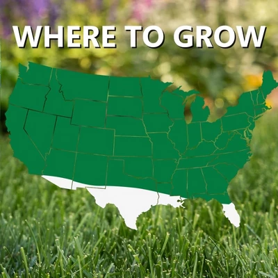 Jonathan Green Touch-Up TRI-RYE Perennial Ryegrass Blend, 25lb 2 Jonathan Green Touch-Up TRI-RYE Perennial Ryegrass Blend, 25lb - Image 2