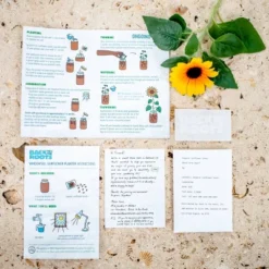 Back To The Roots Organic Sunflower Grow Kit 8 Back To The Roots Organic Sunflower Grow Kit -D'Eco Store GUEST 4135958c b71c 4ba1 beff 5c992cca4459