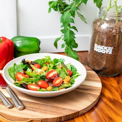 Back To The Roots Organic Tomato Grow Kit 4 Back To The Roots Organic Tomato Grow Kit - Image 4