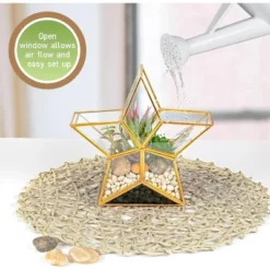 D'Eco Glass Star Terrarium- Tabletop Geometric Planter- Succulents, Moss & More- Home Garden Office Decor- Gift For Mother's Day (Terrarium Only)