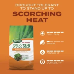 Scotts Turf Builder 4lbs Grass Seed Bermudagrass: Drought-Tolerant, Full Sun, Quick Germination 13 Scotts Turf Builder 4lbs Grass Seed Bermudagrass: Drought-Tolerant, Full Sun, Quick Germination -D'Eco Store GUEST 45a5a94e 6bc6 48f2 b582 f9ea4cbd0594