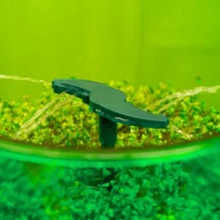 D'Eco Store -D'Eco Store GUEST 479555fc 9d58 4231 97c4 106bd66132fb