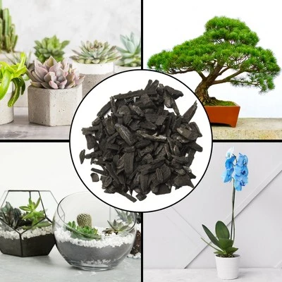 Soil Sunrise Horticultural Charcoal For Indoor Plants, Hardwood Soil Additive For Orchids, Terrariums, And Gardening 5 Soil Sunrise Horticultural Charcoal For Indoor Plants, Hardwood Soil Additive For Orchids, Terrariums, And Gardening - Image 5
