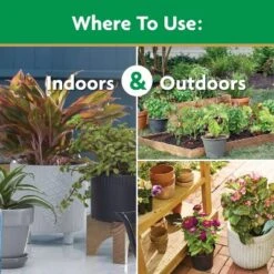 Miracle-Gro Water Soluble All Purpose Plant Food 1.5lb: Nutrient-Rich Formula For Healthy Growth, Fast Release -D'Eco Store GUEST 4c8e883e a110 4376 8d41 87af76b3e5c4