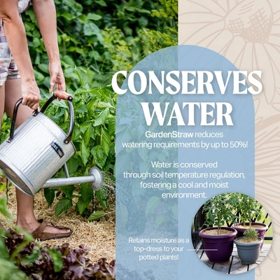 HealthiStraw GardenStraw All-Natural, Clean, Sustainable Garden Straw Mulch For Gardens And Grass Seeding 5 HealthiStraw GardenStraw All-Natural, Clean, Sustainable Garden Straw Mulch For Gardens And Grass Seeding - Image 5