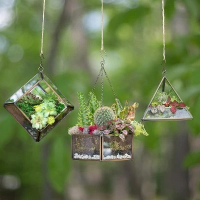 D'Eco Glass Geometric DIY Terrarium, Succulent & Air Plant- Hanging Mini Hexagon Shaped For Indoor Gardening Decor- Create Your Own Centerpiece 2 D'Eco Glass Geometric DIY Terrarium, Succulent & Air Plant- Hanging Mini Hexagon Shaped For Indoor Gardening Decor- Create Your Own Centerpiece - Image 2