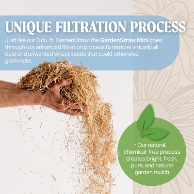 HealthiStraw GardenStraw All-Natural, Clean, Sustainable Garden Straw Mulch For Gardens And Grass Seeding 1 HealthiStraw GardenStraw All-Natural, Clean, Sustainable Garden Straw Mulch For Gardens And Grass Seeding