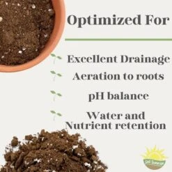 Soil Sunrise 8qt Succulent Potting Soil Mix, Custom Blend 14 Soil Sunrise 8qt Succulent Potting Soil Mix, Custom Blend -D'Eco Store GUEST 507e9032 0de4 40c1 bb09 fb4355197091