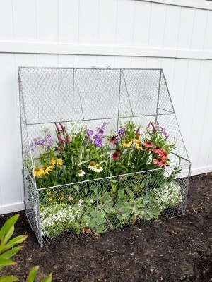 Gardener’s Supply Company Chicken Wire Cloche Flat Back Crop Coop | Sturdy Metal Flower, Garden Plants, And Backyard Vegetables Cover Protector | 20"D 1 Gardener’s Supply Company Chicken Wire Cloche Flat Back Crop Coop | Sturdy Metal Flower, Garden Plants, And Backyard Vegetables Cover Protector | 20"D