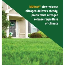 D'Eco Store -D'Eco Store GUEST 542a6570 b47a 4ea2 a688 11285b7aeb95